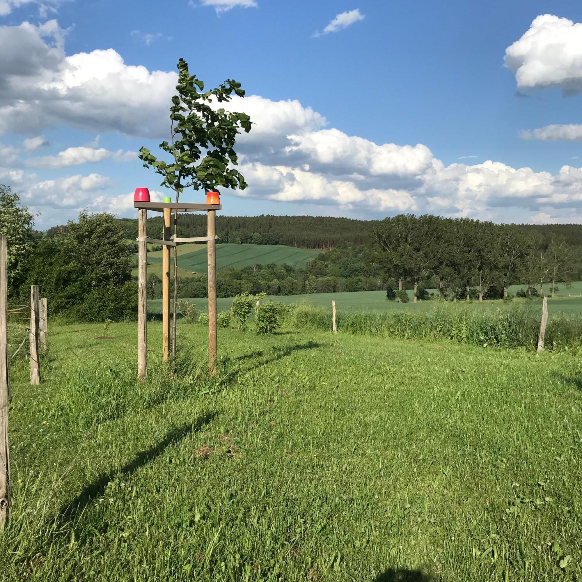 Energietanken Vor Den Toren Dresdens -Barrierefrei- Dippoldiswalde Luaran gambar