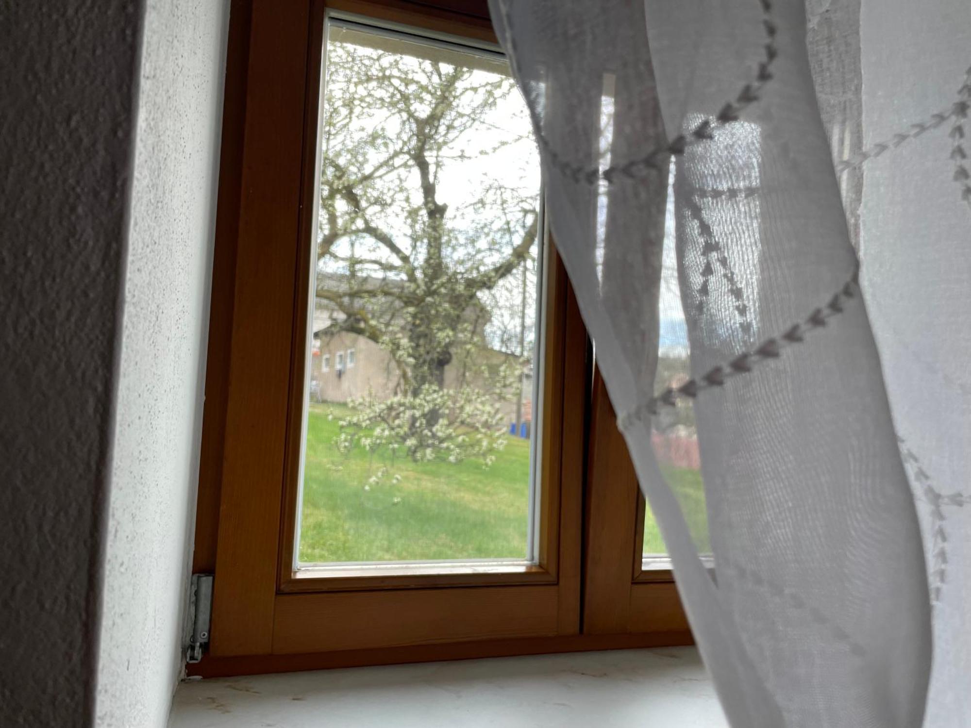 Energietanken Vor Den Toren Dresdens -Barrierefrei- Dippoldiswalde Luaran gambar
